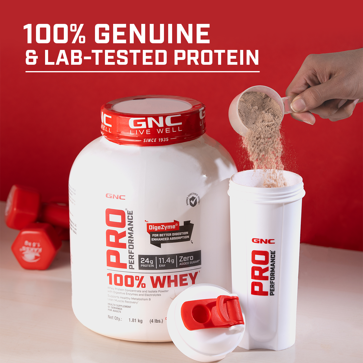 Whey Protein