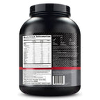 ON Performance Whey Protein Powder 2kgs | Chocolate